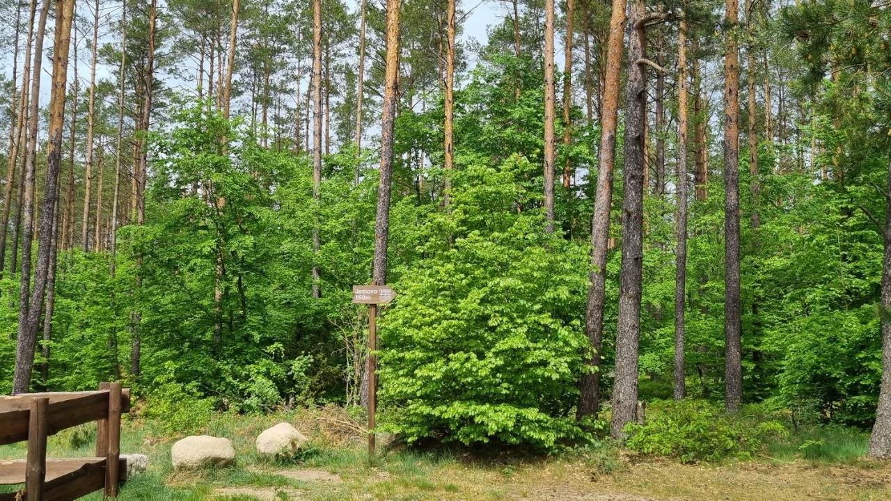 Ptasie Radio, Domek 48.2 Ostoja Bukowo Borowy Mlyn Exteriör bild