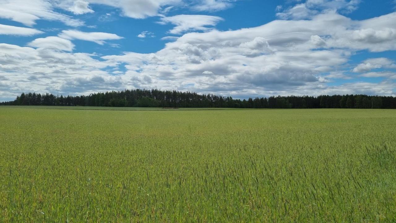 Ptasie Radio, Domek 48.2 Ostoja Bukowo Borowy Mlyn Exteriör bild
