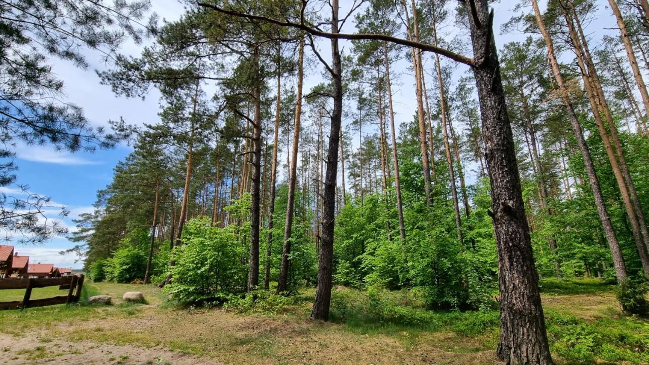 Ptasie Radio, Domek 48.2 Ostoja Bukowo Borowy Mlyn Exteriör bild