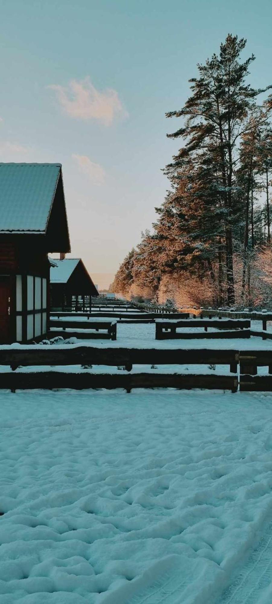Ptasie Radio, Domek 48.2 Ostoja Bukowo Borowy Mlyn Exteriör bild