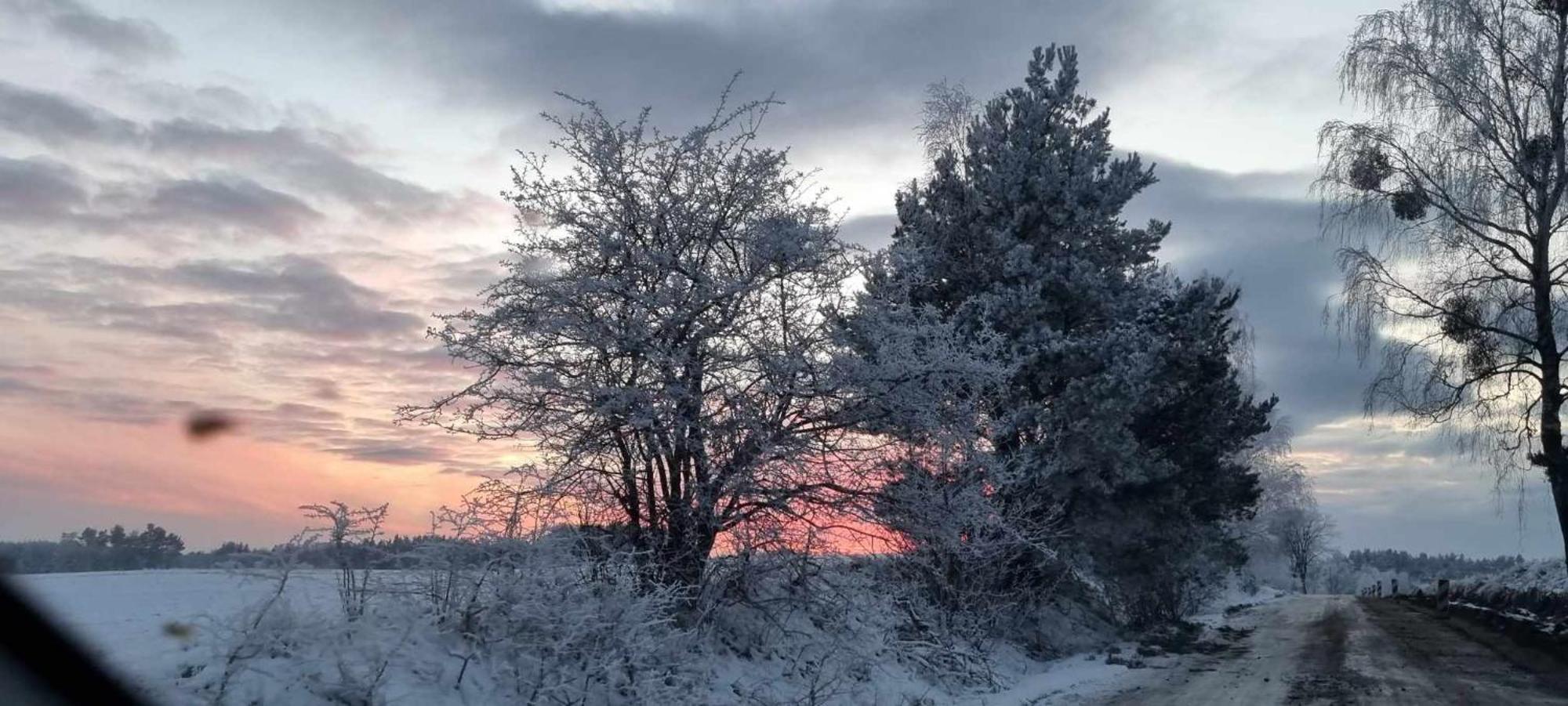Ptasie Radio, Domek 48.2 Ostoja Bukowo Borowy Mlyn Exteriör bild