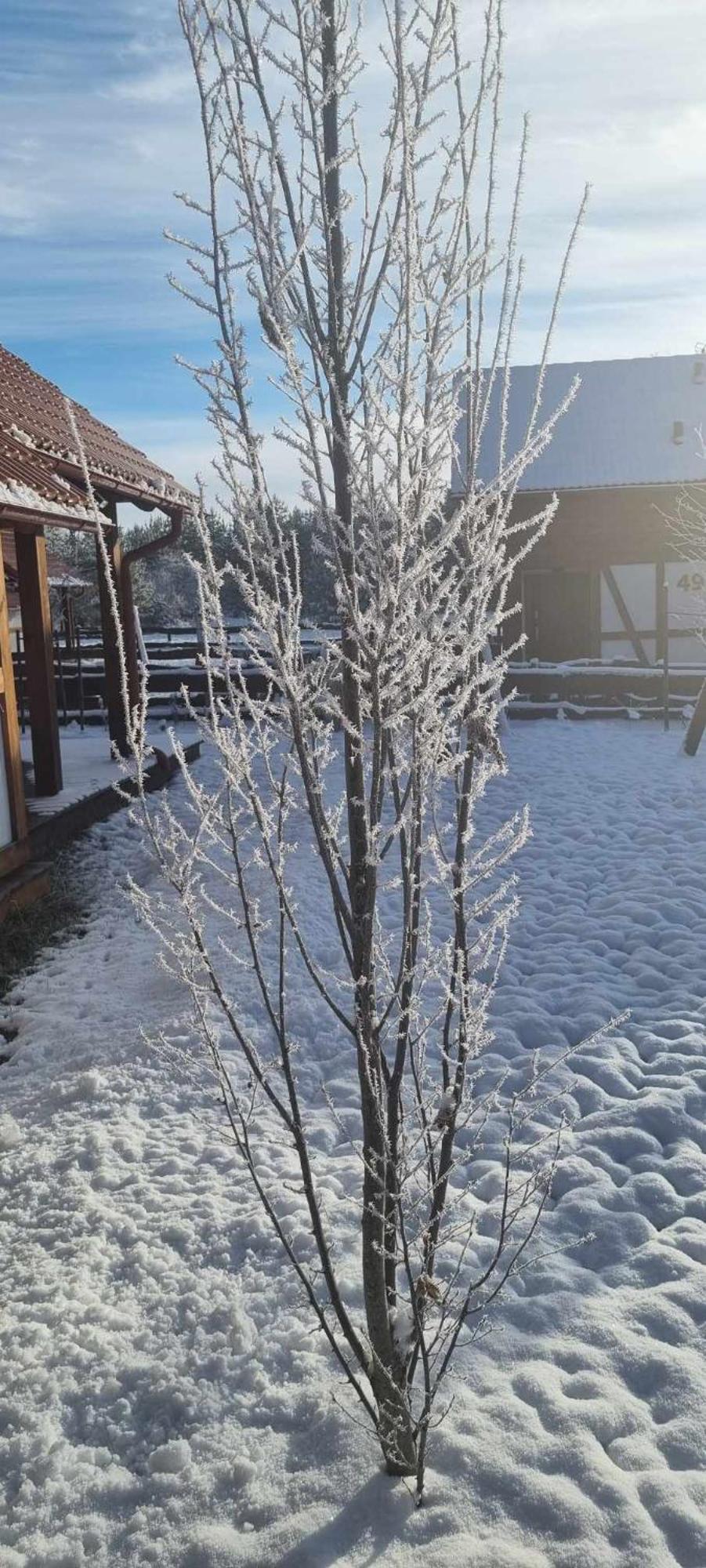 Ptasie Radio, Domek 48.2 Ostoja Bukowo Borowy Mlyn Exteriör bild